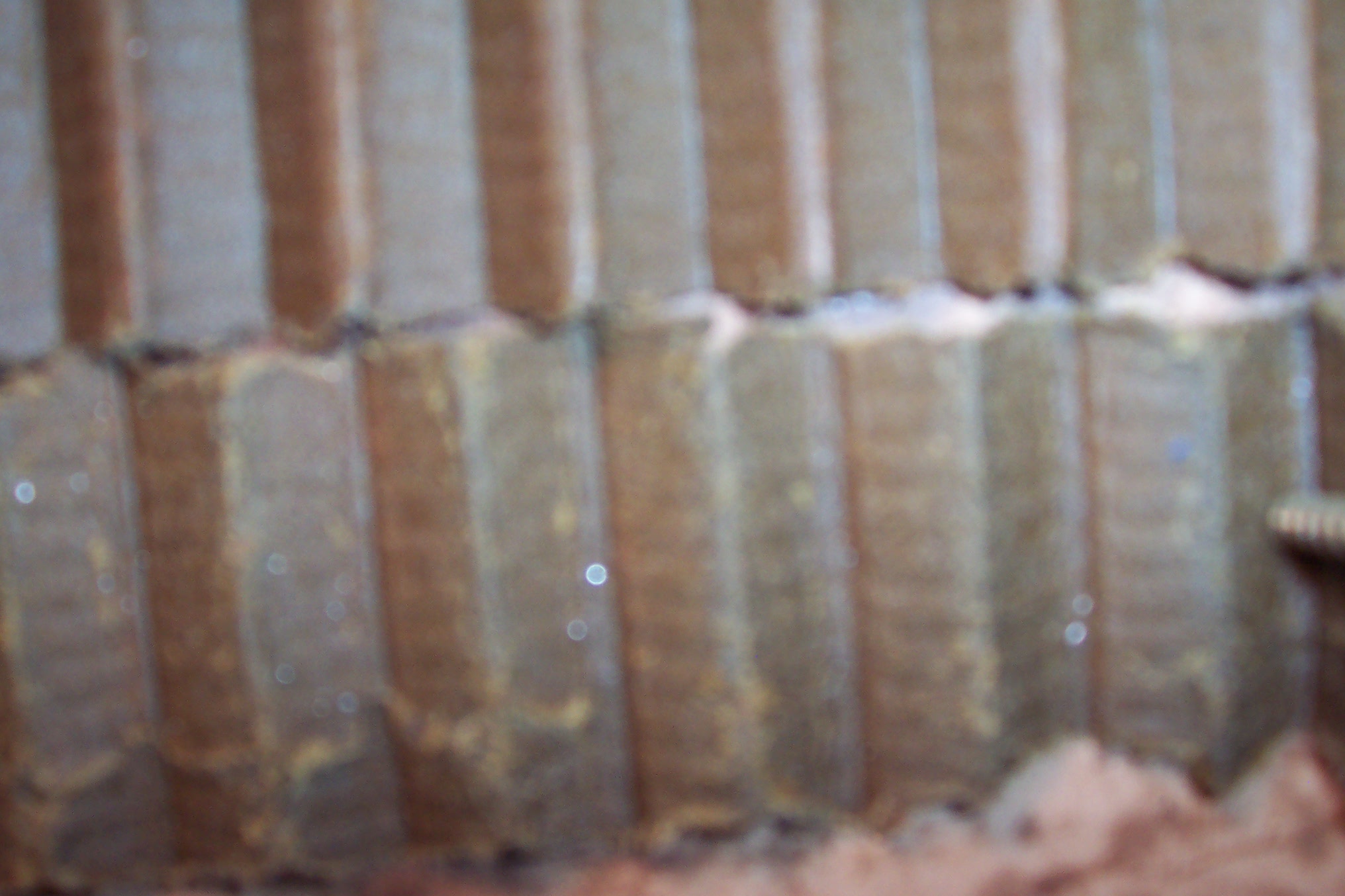 100_0402.JPG
